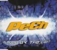 PeCh -- Blinded By The Light