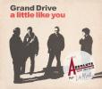 Grand Drive -- A Little Like You