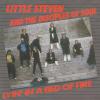 Little Steven And The Disciples Of Soul -- Lyin' In A Bed Of Fire