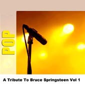 Studio Group -- A Tribute To Bruce Springsteen Vol 1