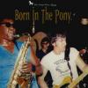 The Stone Pony Series Vol. 2: Born In The Pony (08 Jun 1984)