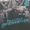 Pollux Duit -- Springsteen