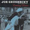 Joe Grushecky And The Houserockers -- Coming Home