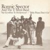 Ronnie Spector And The E Street Band -- Say Goodbye To Hollywood / Baby Please Don't Go