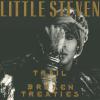 Little Steven -- Trail Of Broken Treaties