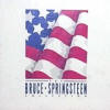 The Bruce Springsteen Collection