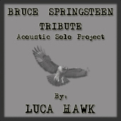 Luca Hawk -- Bruce Springsteen Tribute: Acoustic Solo Project