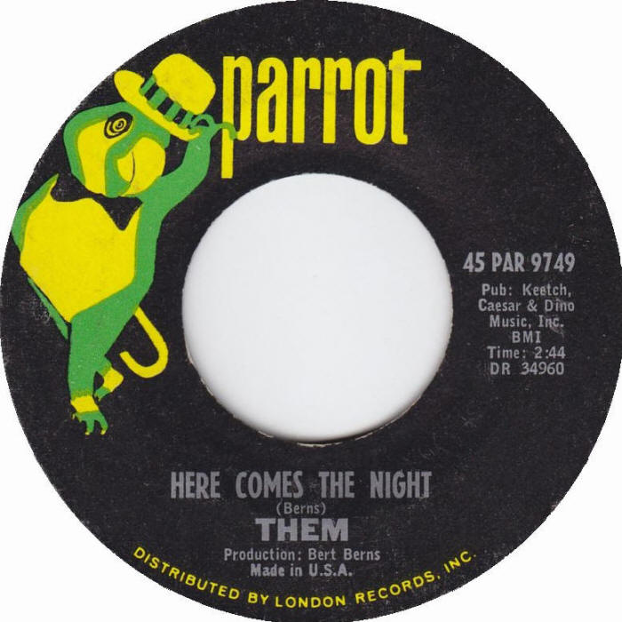 Bruce Springsteen Lyrics: HERE COMES THE NIGHT [Original Them version]